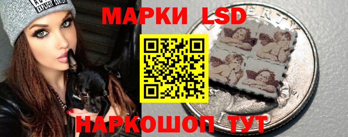 Лсд 25 экстази ecstasy Кингисепп